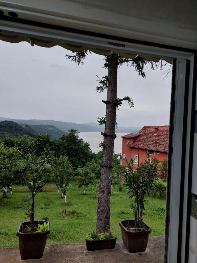 Apartmani Kuljanin Donji Milanovac Quarto foto